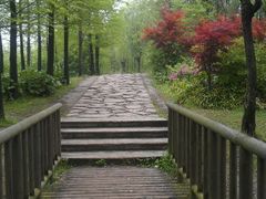 android_upload_pic-新江湾城公园