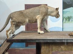 -大连森林动物园