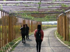 -田园东方蜜桃村的田野营地
