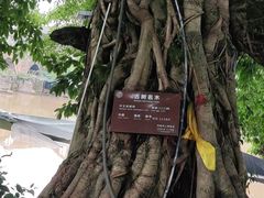 -平乐古镇