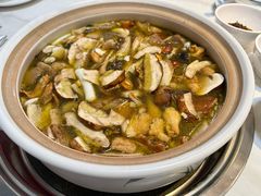 -爱膳菌锅锅(阳南店)