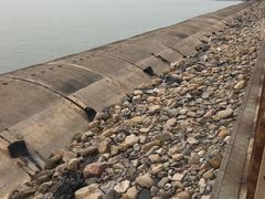 -东疆建设开发纪念公园
