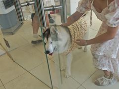 -怪兽屋·羊驼·猫咖·狗咖(俊华广场店)
