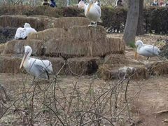 -无锡动物园·太湖欢乐园