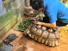 -华夏文旅海洋公园