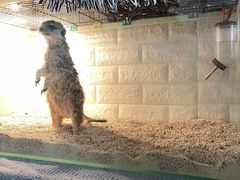 -平行世界·猫咖(首经贸店)