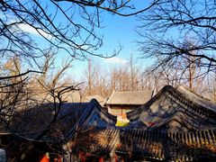 -阳台山自然风景区