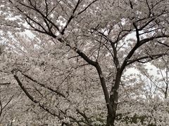 -苏州上方山国家森林公园