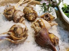 -蠔爺王志德生蚝馆(金沙湾店)