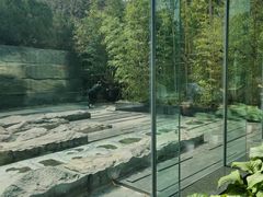 -外滩悦榕庄·海怡西餐厅