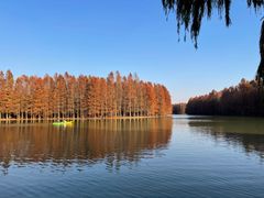 -上海海湾国家森林公园