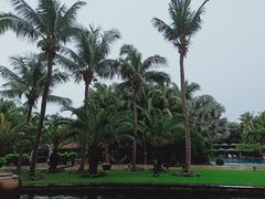 -三亚湾海居铂尔曼度假酒店