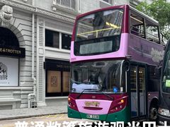 -Big Bus Tours 敞篷观光巴士
