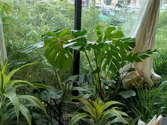 -太守宴·蘭院(天塔店)