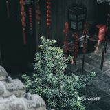 【全家出游好去处】武汉张公山寨
