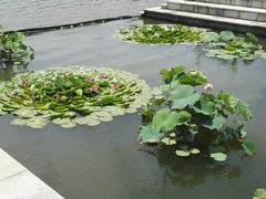 亲水平台-上海中国航海博物馆