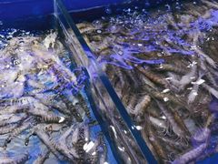-澜悦港海鲜体验主题餐厅