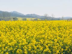 -西海岸生态观光园