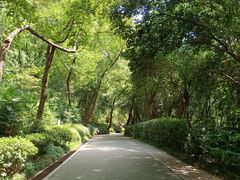 -北极阁公园