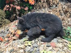 -昆明动物博物馆