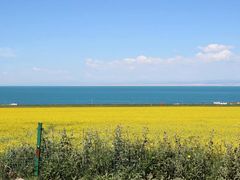 -青海湖国家重点风景名胜区
