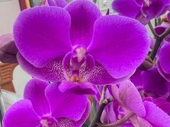 -谦和素食自助餐(云峰花园店)