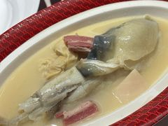 -圆苑(静安寺店)