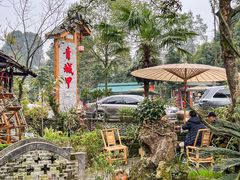 -青城甲(青城山店)