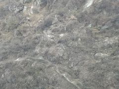 -少华山国家森林公园
