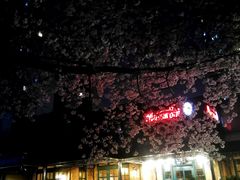 -玛格萝妮比萨屋(四平店)