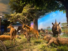 -国家自然博物馆