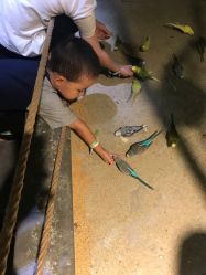 -酷嗒动物文化乐园(cutezoo西溪乐天城店)