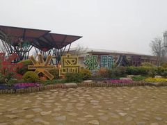 -上海长兴岛郊野公园