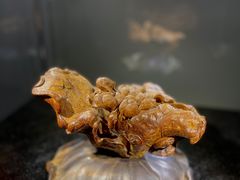 -徐汇艺术馆