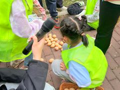 -嘉北郊野公园