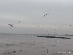 -老虎石海上公园