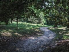 -杭州植物园