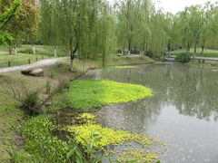 -柳浪闻莺公园