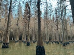 -捞渔河湿地公园