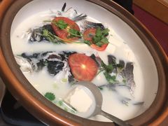 -全乐鱼馆·淳牌有机鱼直营店
