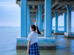 -宝安西湾红树林湿地公园