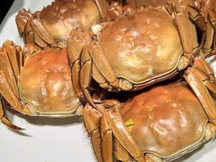 -童福兴·南京菜(老门东店)