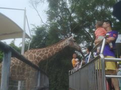 -泉州海丝野生动物世界