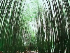 -竹泉村旅游度假区