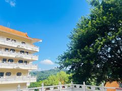 -深圳仙湖植物园