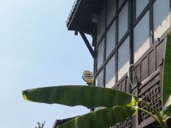 -磁器口古镇