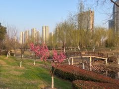-滨湖塘西河公园