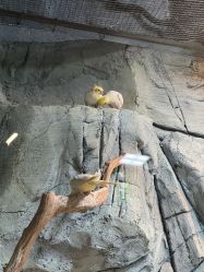 -Zoolung Zoolung动物主题公园(海信广场店)