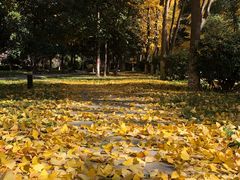 -陕西师范大学(雁塔校区)