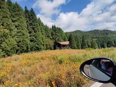 -武陵山森林公园